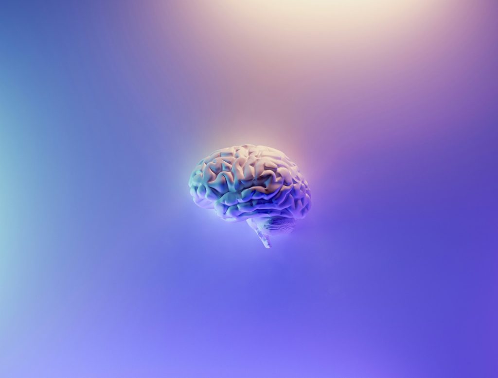 Brain to Turn
